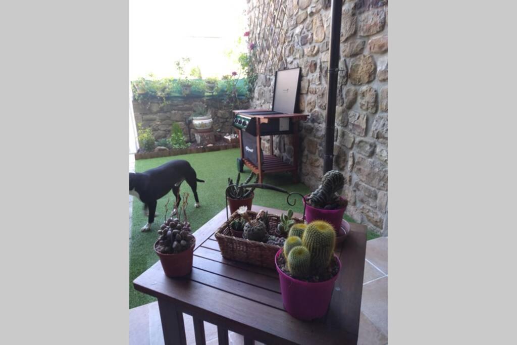 Villa Casa Con Vistas En Ucieda Exterior foto
